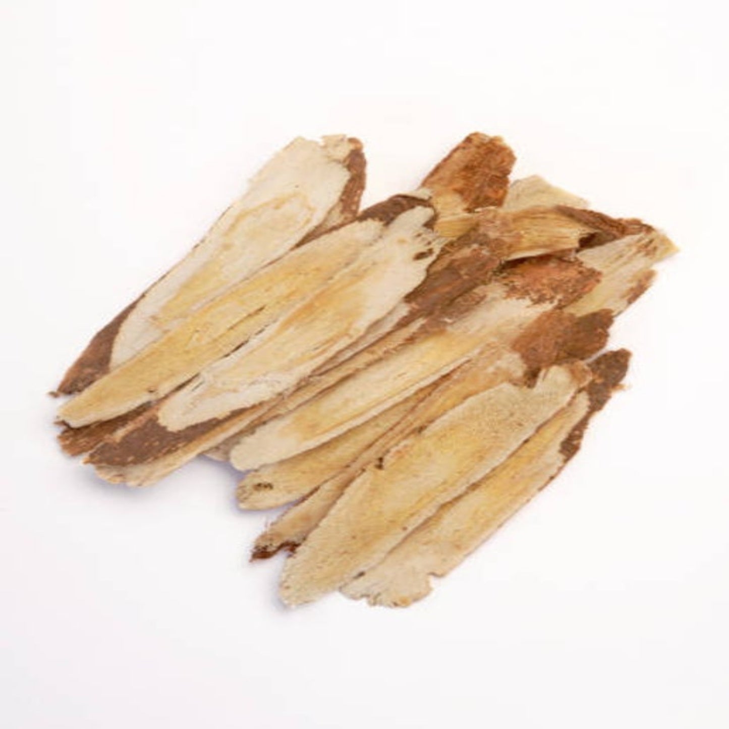 Astragalus Root