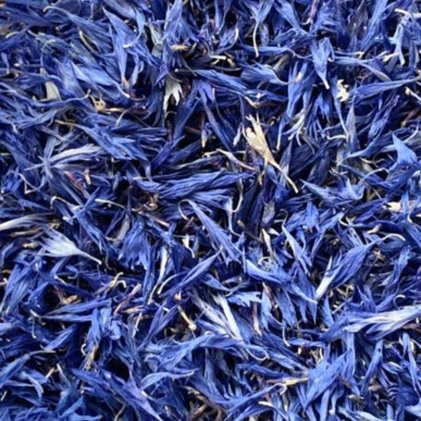 Cornflowers