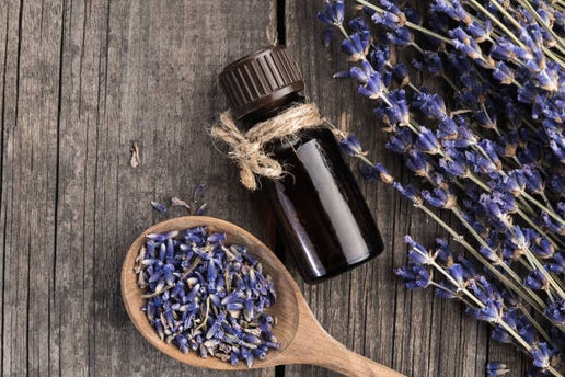 Lavender Flowers